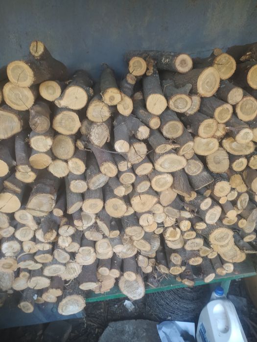 Продам дрова твердых пород рубанные.