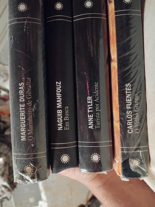 conjunto de vários livros/vários autores