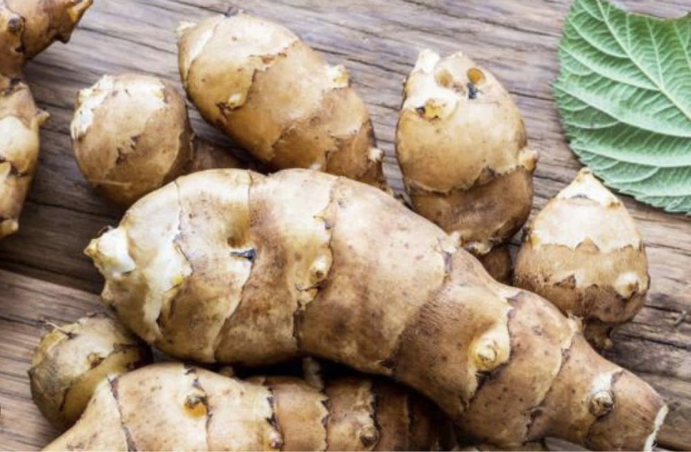 Novidade - Tupinambo - Alcachofra Girassol Biológico - 3,5 € por Kilo