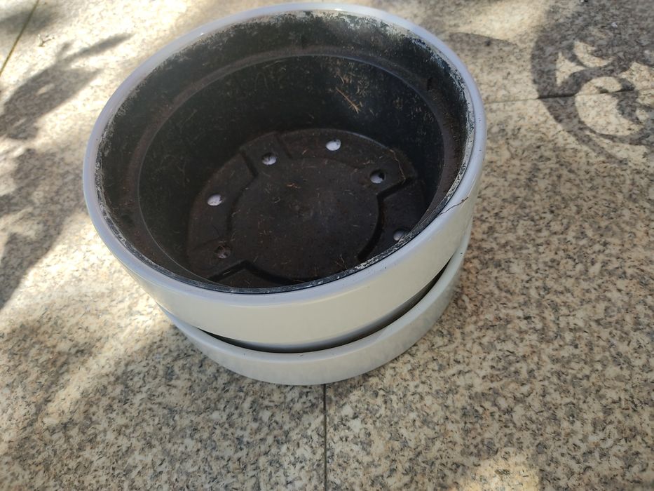 Vaso para bonzai