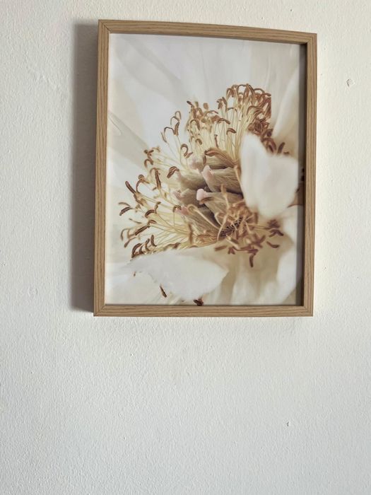 3 quadros 40x50 .  15€