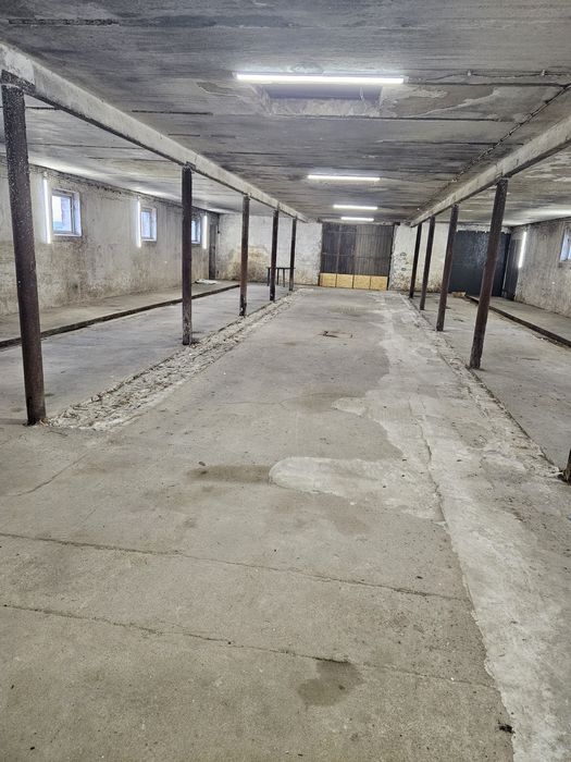 Wynajmę budynek i plac