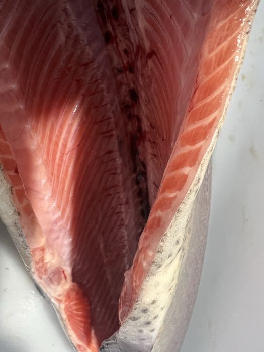 Форель охолодженна та морожена оптова продажа