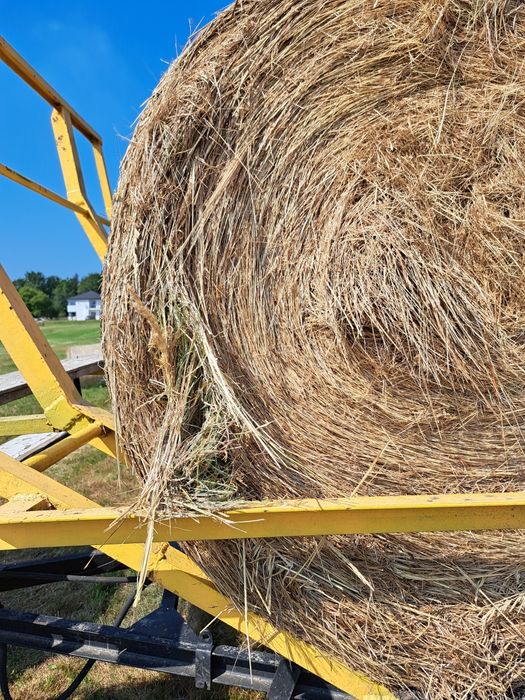 Siano dla koni w balotach / pachnące siano 1 pokos TRANSPORT