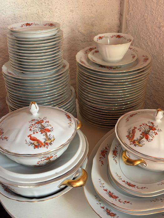 Serviço da SPAL completo