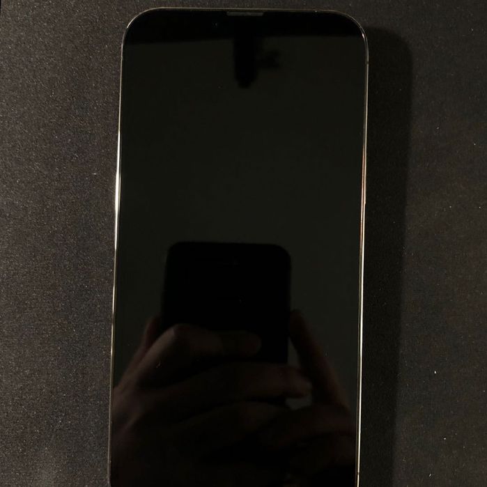 Apple iPhone 13 Pro Max / 128 GB / Graphite + Original Case and Warranty64750662604675122