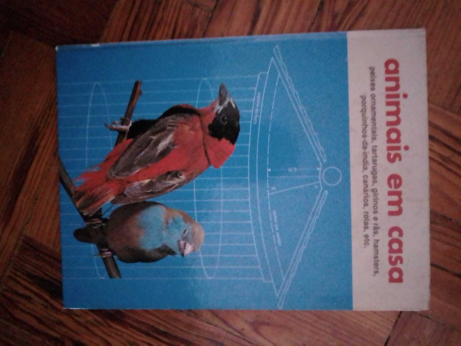 Catálogos antigos e modernos de leilões antiguidades e outros Desde 2E