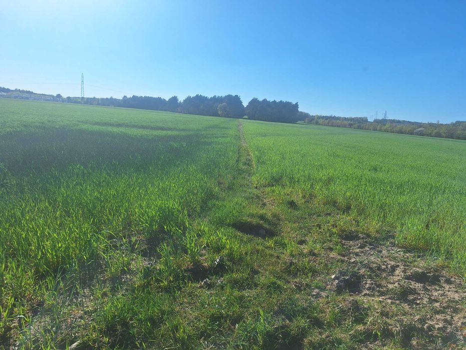 Atrakcyjne działki  1000m² w Serocku