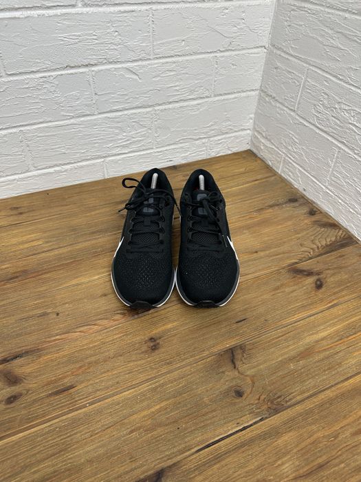 Чоловічі кросівки Nike winflo original 41