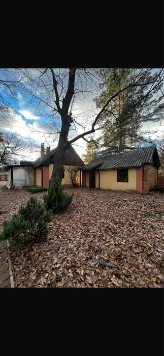 Продам домовладение в Васищево элитный район лес речка