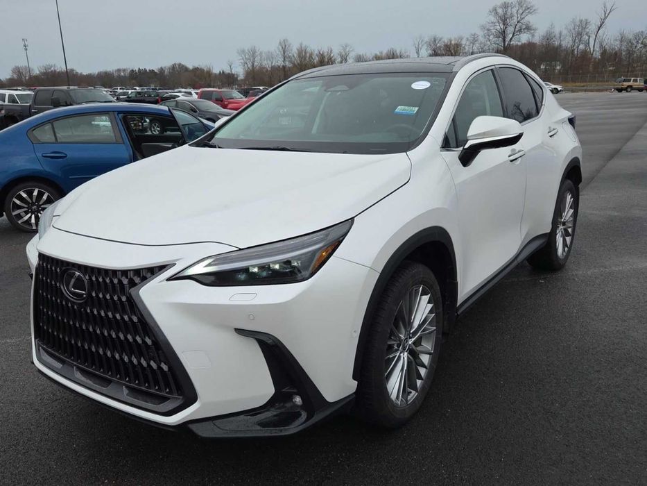 2024 Lexus NX 350h Luxury