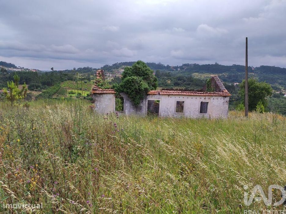 Terreno para construção em Colmeias e Memória de 116,00 m2