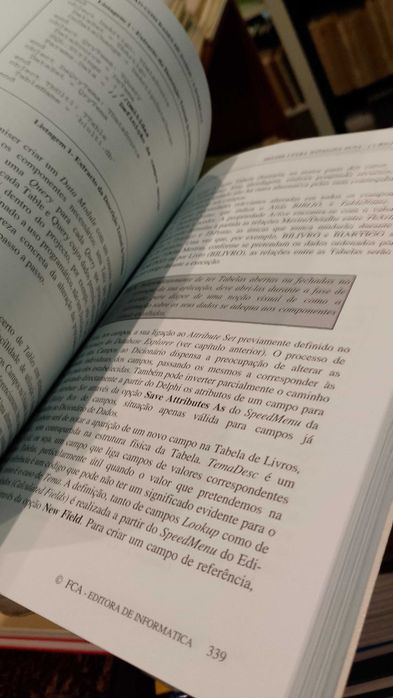 Delphi 3 (Curso completo) - Armando Halpern