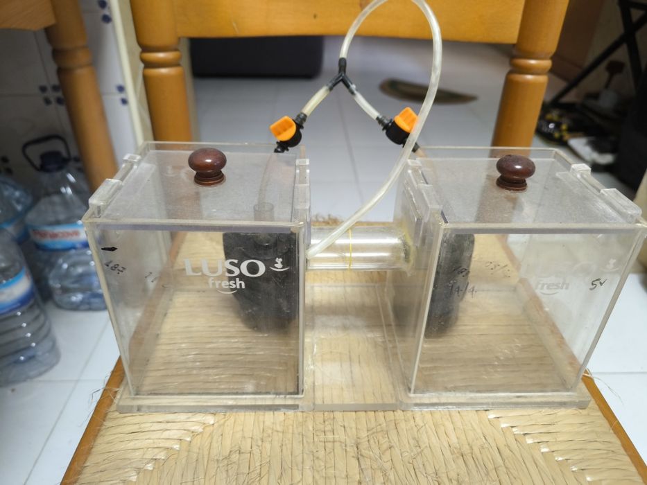 Aquário experimental, duplo com comunicação entre eles.