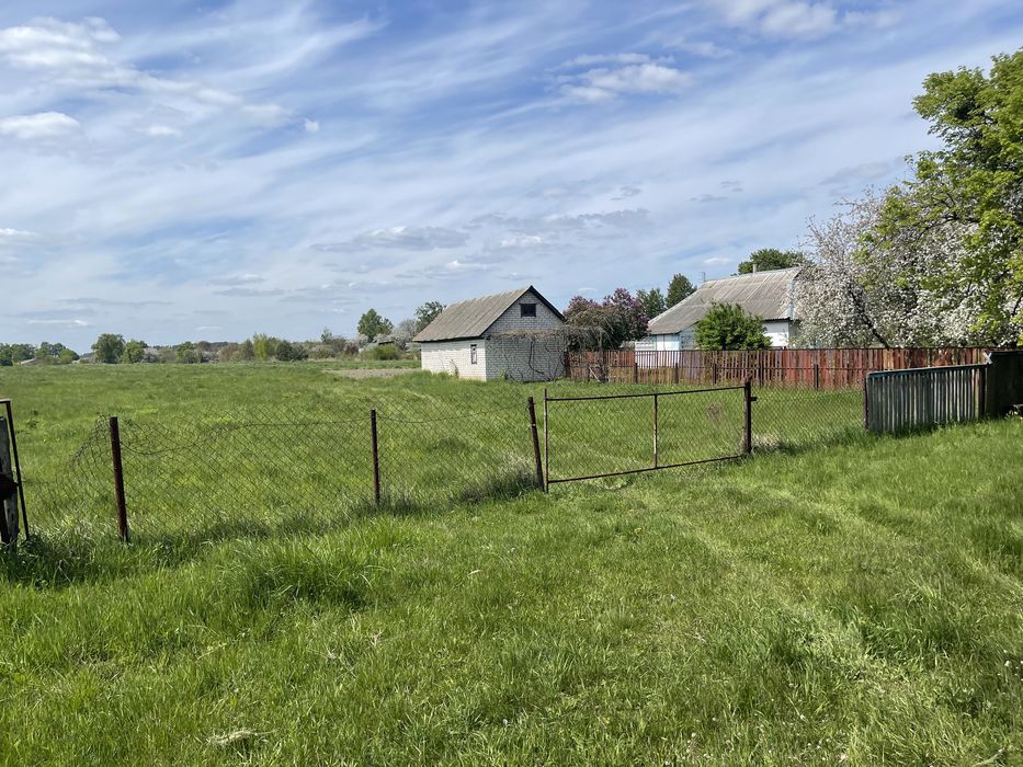 Продам 13 сот. возле р. Снов, с. Клочков