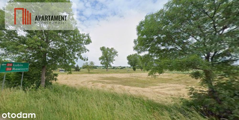 Działka inwestycyjna przy Dk36 - Widok 3