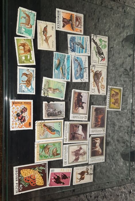 Марки фауна животные. СССР, Венгрия, Монголия, Польша.