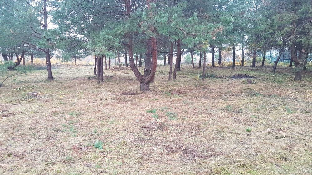 Działka budowlane, szlak Wielkich J Mazurskich, Kozin, Media, 1000m x2 - Widok 2
