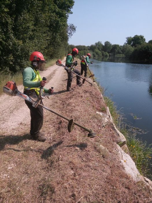 LIMPEZA de Terrenos e manutenção de espaços verdes