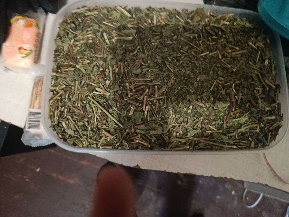 Продам   мелису    класс