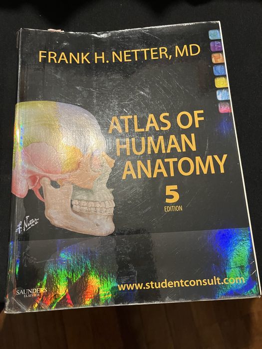 Netter atlas de anatomia /anatomy