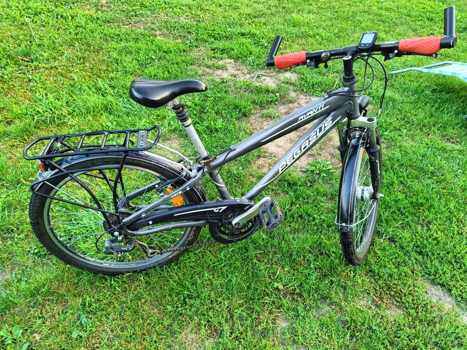 Rower Pegasus Avanti Young Edition 24"