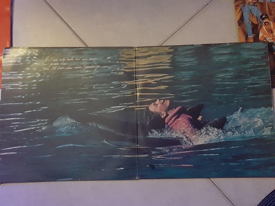 DISCOS Vinil Impecáveis