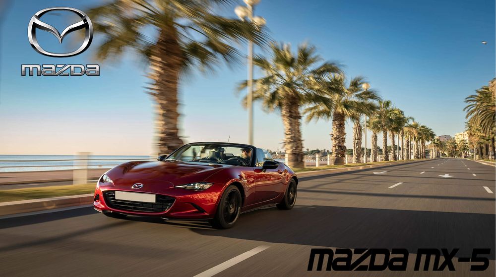 business-site-gallery-photo