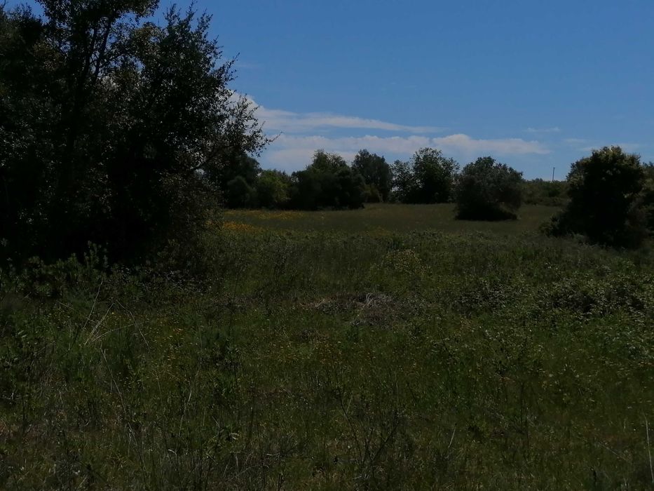 Terreno Rústico 2440m2 com água e luz