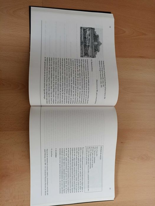 Testemunho nas paredes: ensaios de azulejaria, de Vitor Sousa Lopes