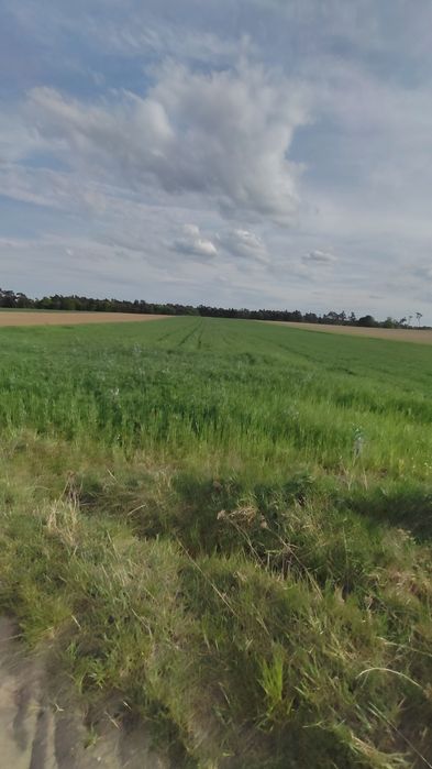 Działka rolna 0,7317 ha