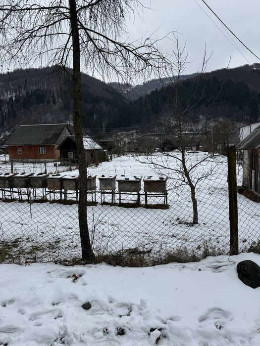 Продаж земельної ділянки с. Кваси Закарпатська обл