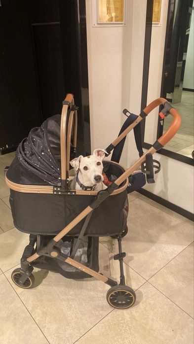Супер-акція! Коляска, возик для собак. LUX сегмент