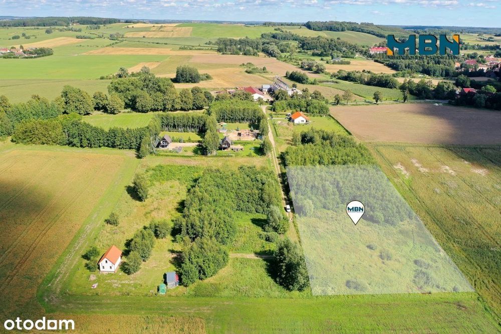 Zdjęcie 5