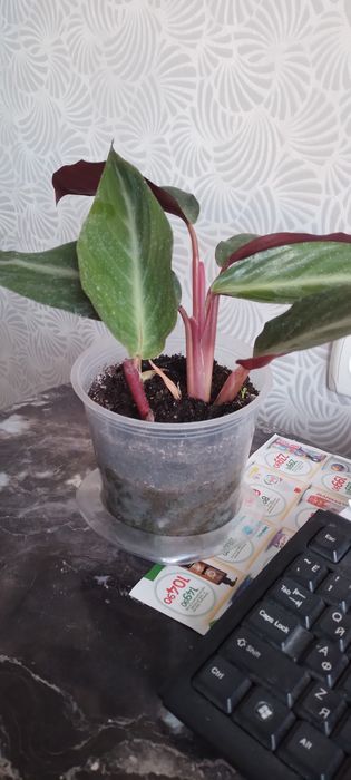 Продам гарний вазон