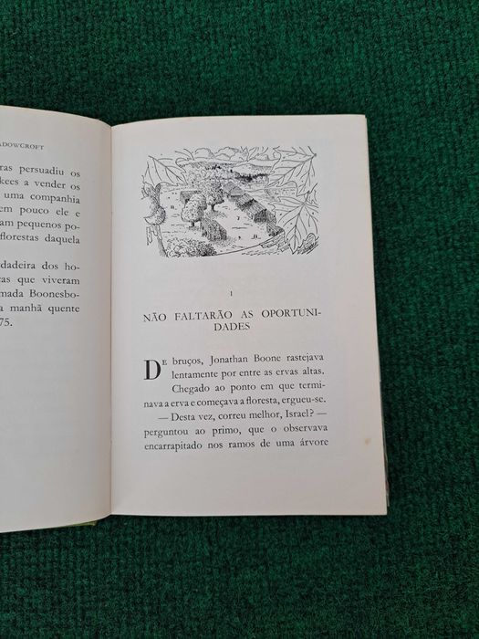 Novas aventuras de Daniel Boone - Enid LaMonte Meadowcroft