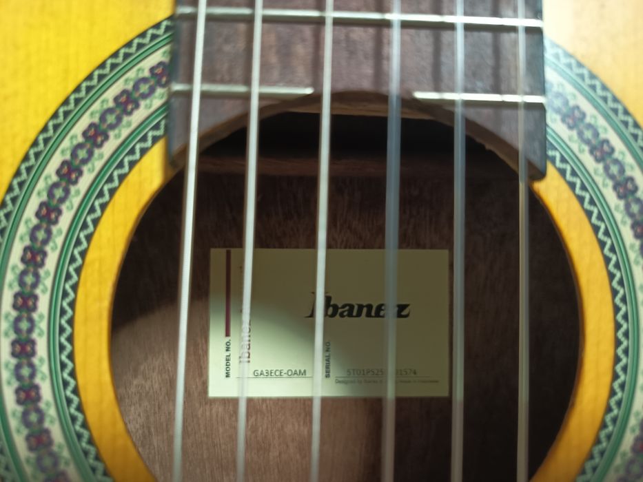Violão acústico clássico Ibanez