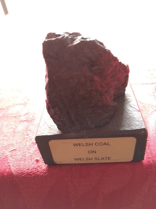 Amostra de carvão antigo do Pais de Gales em Suporte-8E-Copo5E Desde2E