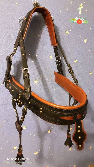 Шлея для коника ,коня ,поні