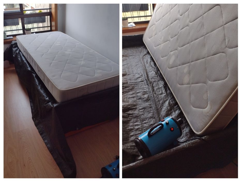 Limpeza higienização de colchão sofá cadeiras tapetes carpetes