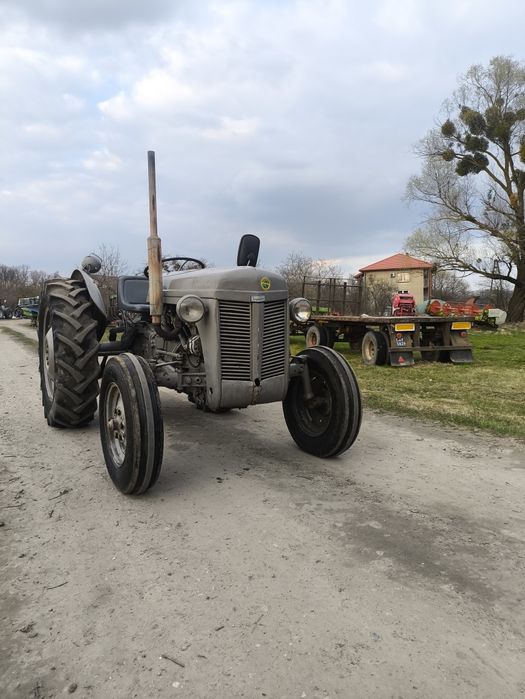Ciągnik Ferguson te-a traktor tea 20 tea20 Massey Ted tef ursus c-330