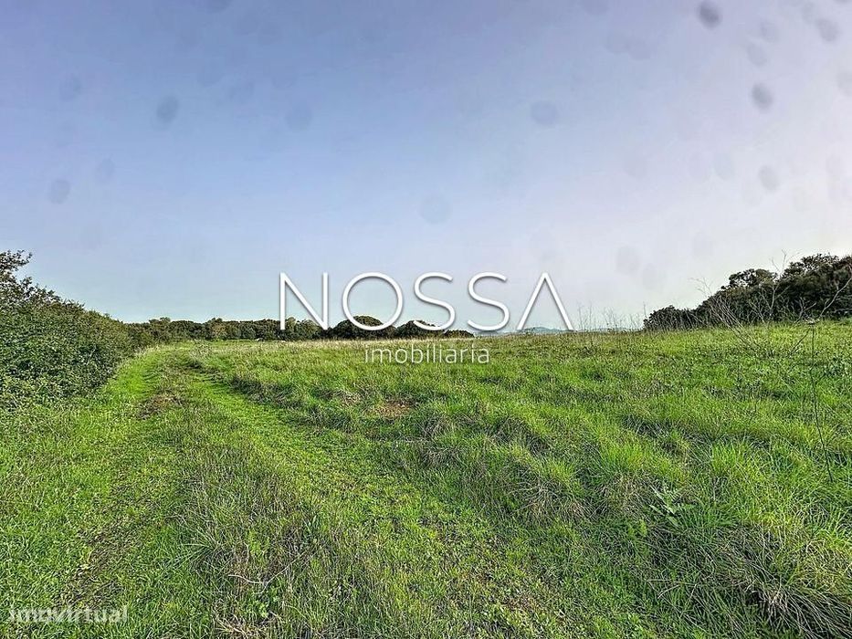 Terreno Rústico nas Raposeiras