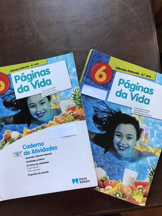 Manuais escolares de várias disciplinas 6°ano