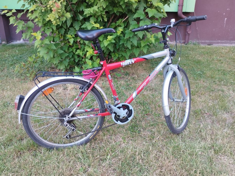 Rower Tornado Hilly 24"