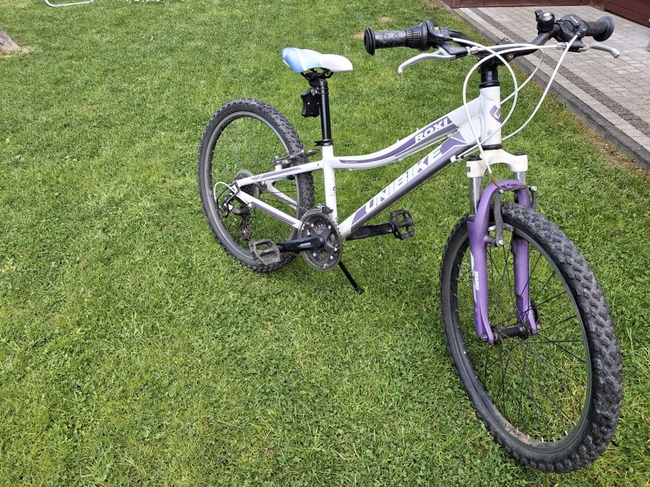 Rower 24 cale unibike roxi