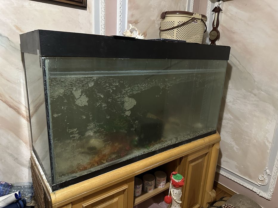 Продам аквариум 600л