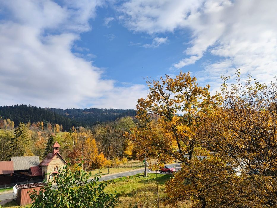 Pomoc przy osobie starszej