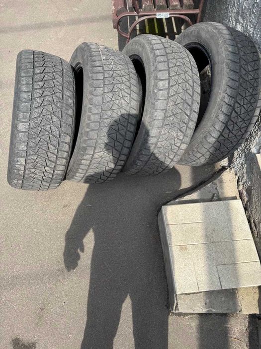 Bridgestone Blizzak DM-V2