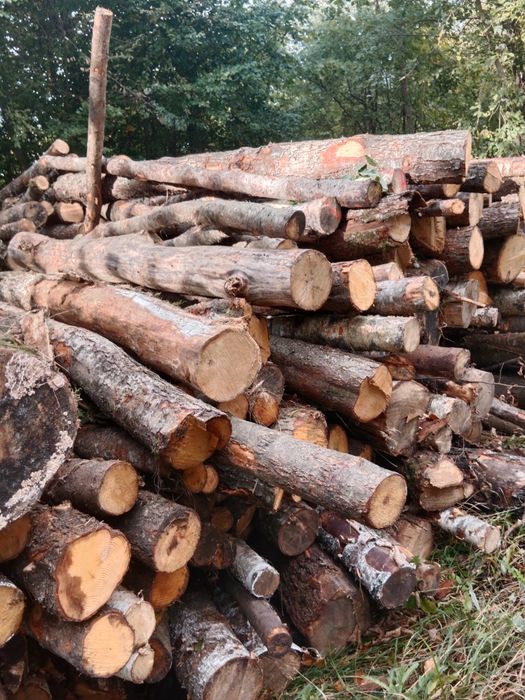 Sprzedam drewno kominkowo opalowe