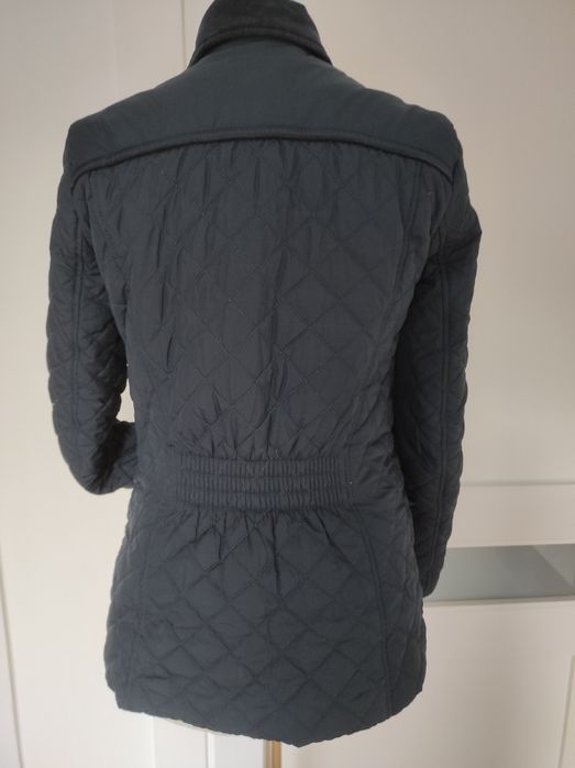 Tommy Hilfiger M granat przejściowa